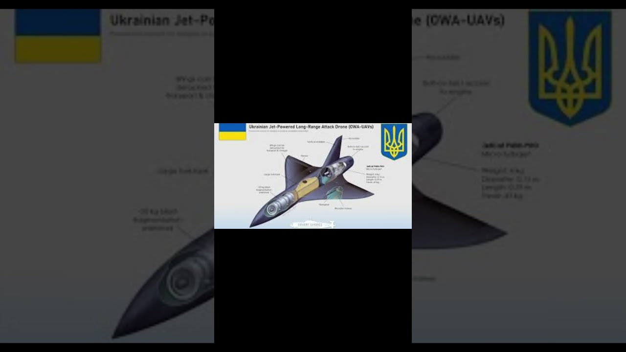 PALIANYTSIA : Le DRONE-MISSILE UKRAINIEN qui fait TREMBLER la RUSSIE ! 🚀💥#military #tech