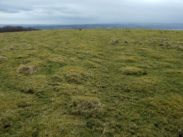 Cultivation marks: rig and furrow