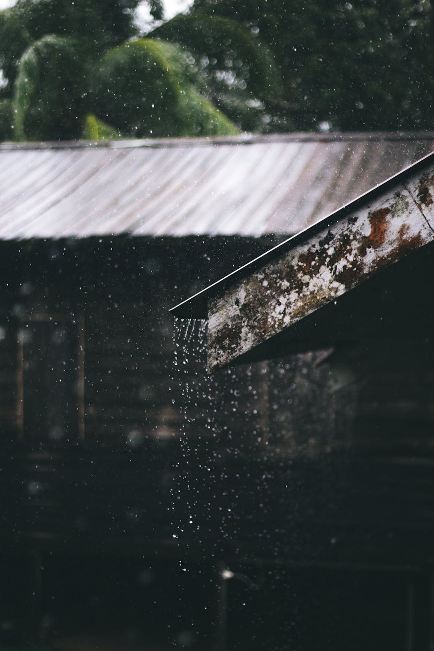 selective focus photography of corrugated metal sheet of house during rainy daytime