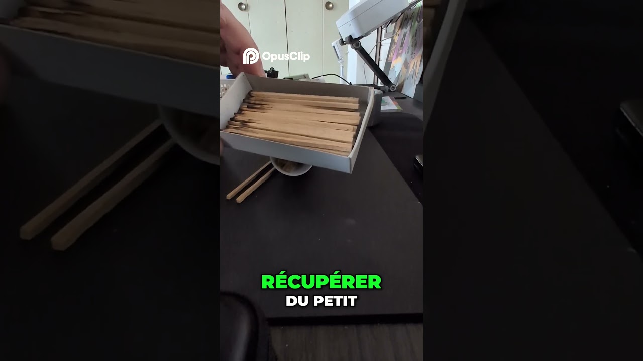 Art de Récupérer du Petit Bois