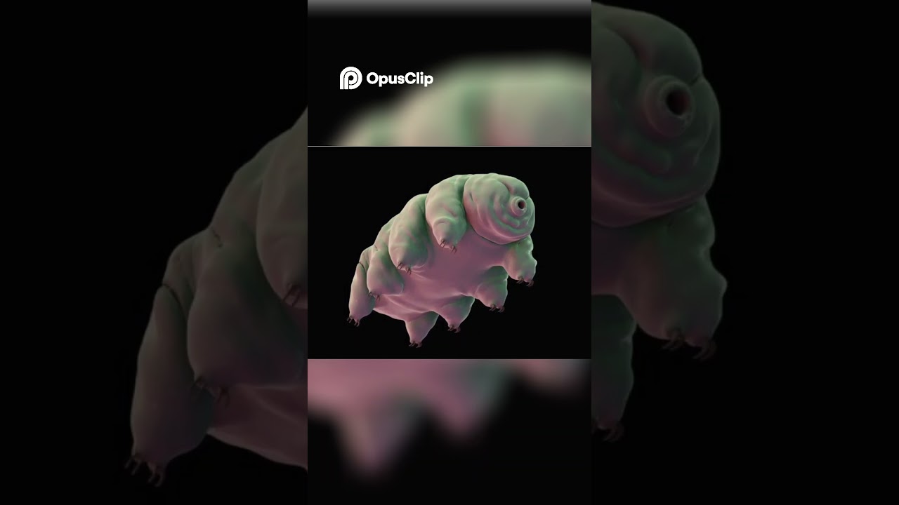 Tardigrades Masters of Survival