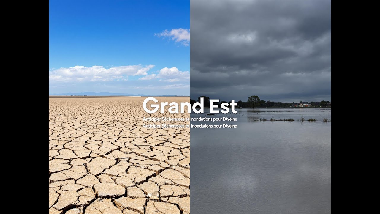 Grand Est: Anticiper Sécheresses et Inondations pour l’Avenir #Eau #ChangementClimatique #Résilience