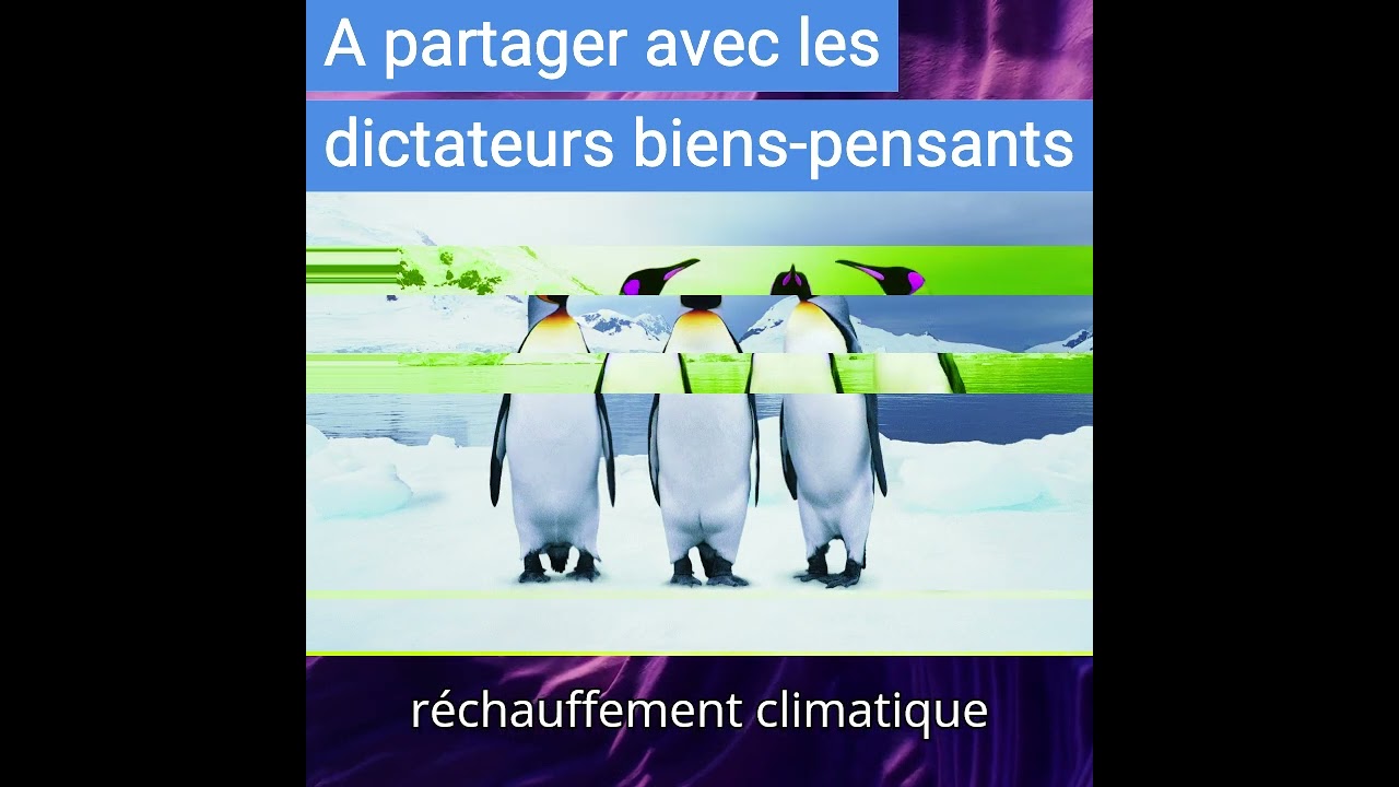 La banquise antarctique revient alors qu’on la croyait perdue #ClimatAntarctique #climat