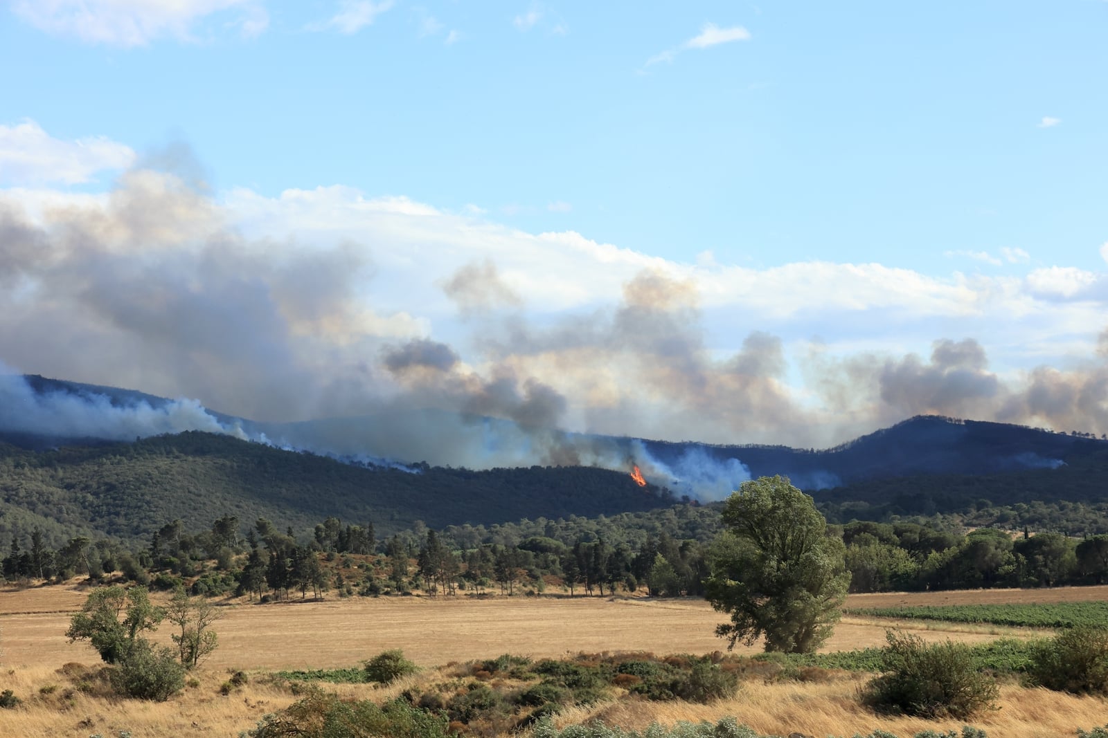 Incendie dans l’Aude : un dispositif aérien et terrestre inédit mobilisé