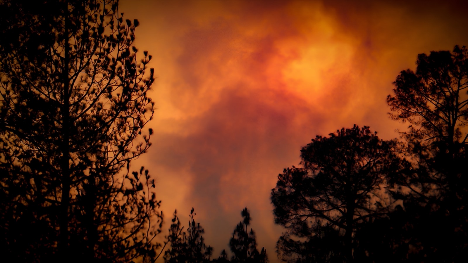 Incendie dans l’Aude : point de situation sur le feu qui a déjà dévoré 16 000 hectares